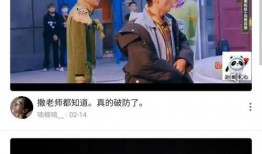 台媒爆料渣男视频大全下载,揭秘不忠行为背后的真相