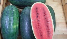 黑瓜吃料网免费,免费资源一网打尽，轻松获取海量素材