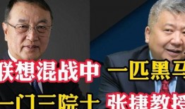 爆料刘传志视频,揭秘企业内幕与真实故事