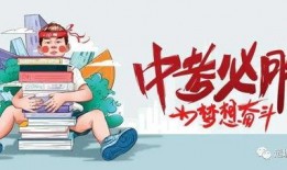 青枫骇客最新爆料消息,最新爆料事件深度解析