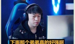 爆料小虎离队视频大全集,视频大全集深度解析