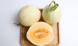 甜瓜美食爆料视频,视频爆料带你领略夏日清新美味