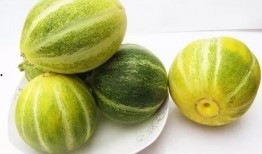 甜瓜美食爆料视频,视频爆料带你领略夏日清新美味
