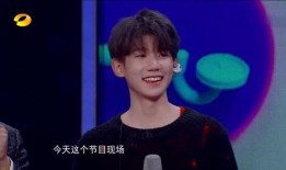 王源爆料杨迪事件视频在线观看,揭秘背后真相，视频在线观看引热议