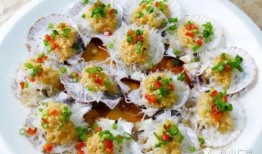 吃扇贝肉爆料视频大全集,视频大全集带你领略扇贝肉的魅力