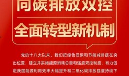 常山三中爆料案件视频,揭秘校园内惊人真相