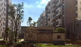 西昌最新爆料花店地址,揭秘最新花店地址，尽享浪漫花艺之旅