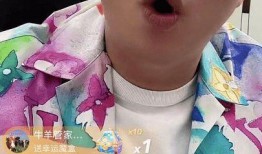 陈山爆料辛巴视频,视频曝光惊人真相