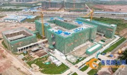 谢岗爆料新闻,揭秘事件背后真相