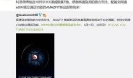 陈泽录屏回放最新爆料,揭秘幕后的惊人真相
