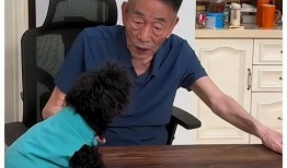 虎哥豹哥最新爆料视频,揭秘娱乐圈惊人内幕！