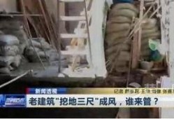 掘地三在线观看,在线观看揭秘之旅