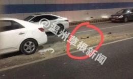 贵阳车祸爆料新闻最新
