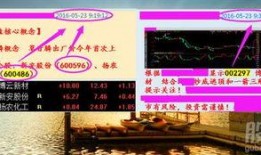 清溪嘉信沐足最新爆料,揭秘行业黑幕与神秘幕后势力”