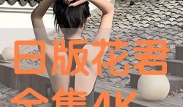 花君全集在线观看,一场穿越时空的浪漫邂逅