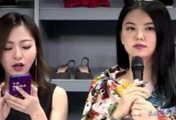 老板爆料李湘视频大全集,老板爆料背后的故事与真相