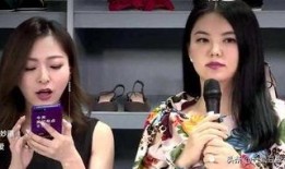 老板爆料李湘视频大全集,老板爆料背后的故事与真相