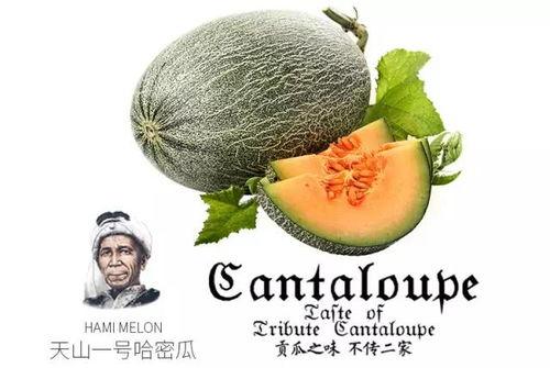 娱乐吃瓜号为什么那么恶心,为何恶臭现象屡禁不止？